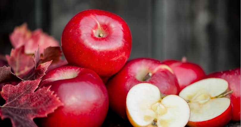 Looking for Apple Orchards for Sale? Read This Guide First