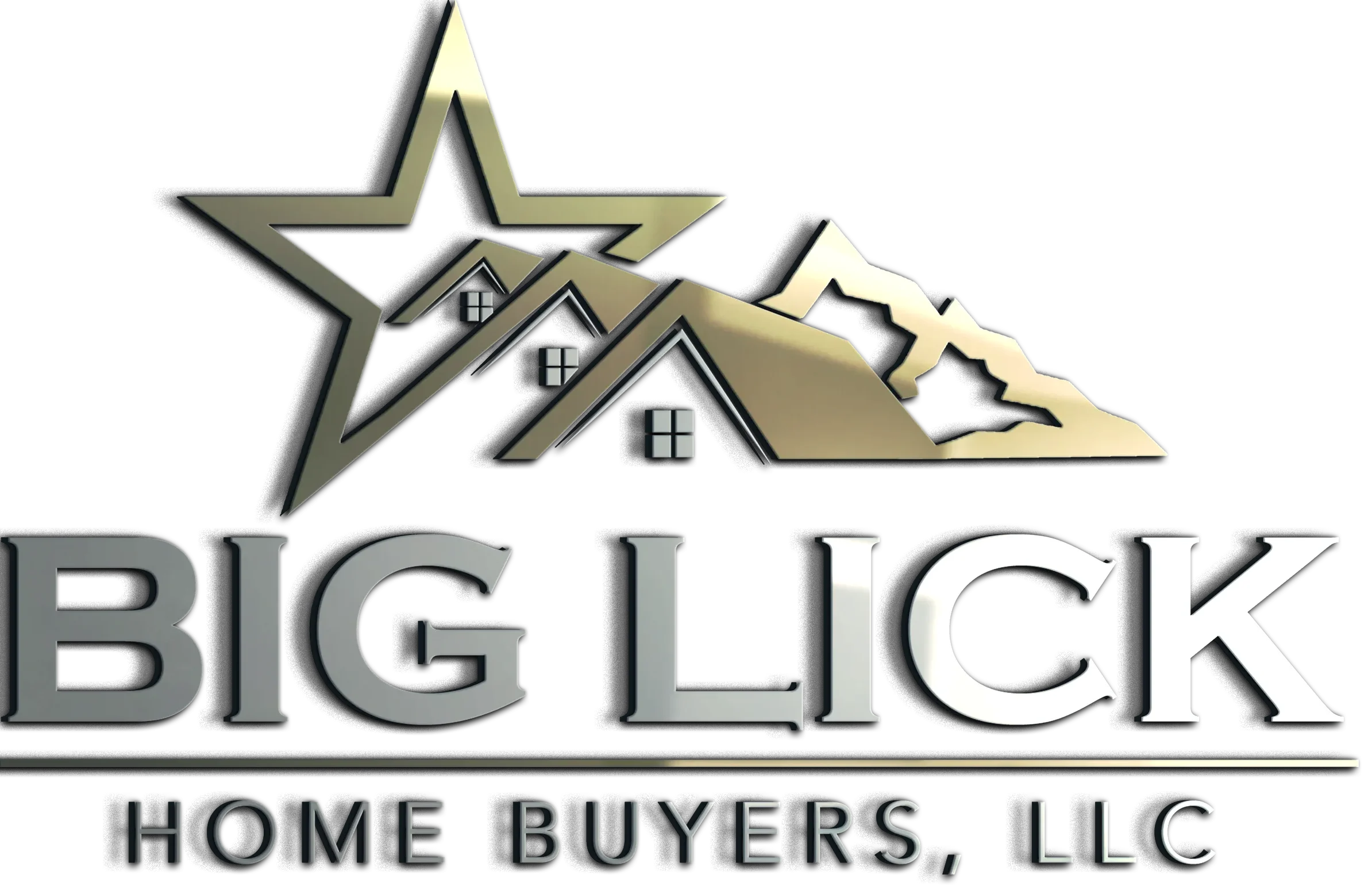 Big Lick Home Buyers, LLC logo