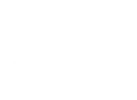 Cash Is King logo