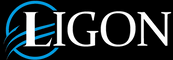 Ligon Investment Group logo