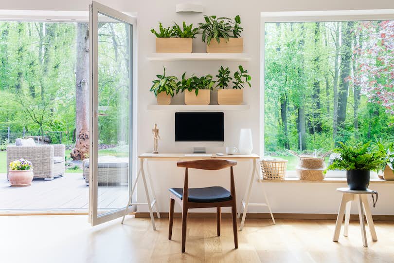 interior of an energy-efficient home featuring large windows, minimal furnishings, and plenty of indoor plants
